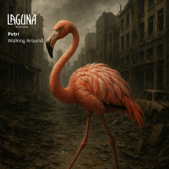 PREMIERE - Petri - Walking Around (Original Mix)