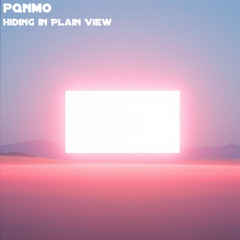 Hiding in Plain View