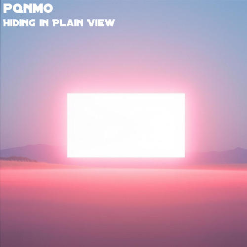 Hiding in Plain View