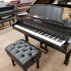 Steinway All The Way