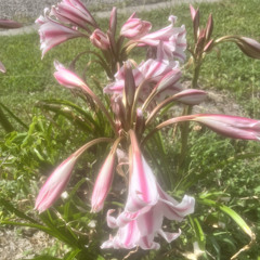 Jake - I gave you Plenty of Time