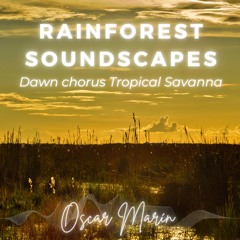 Tropical Savanna: Dawn symphony