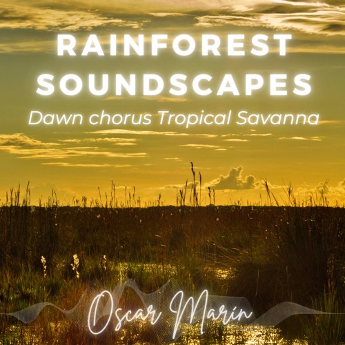 Tropical Savanna: Dawn symphony