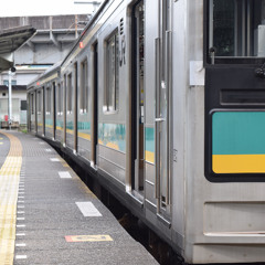 行列のできるなんぶ支線