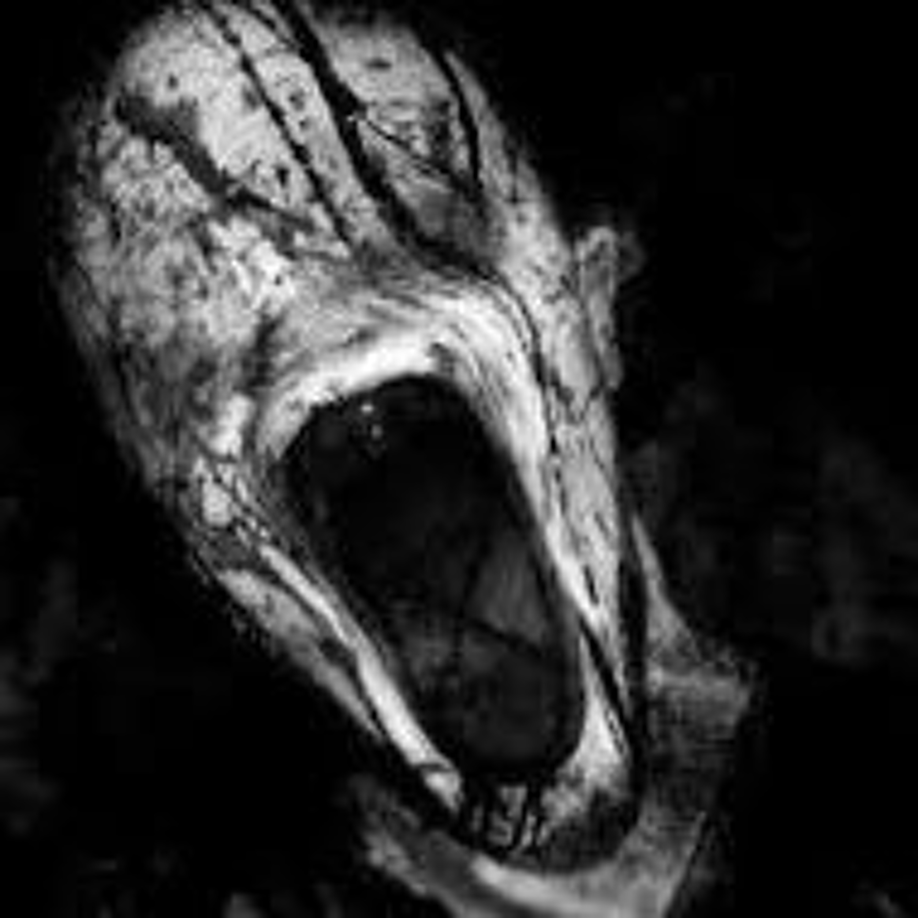 ALIENBULGARIAN