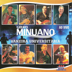 Pancadão do Minuano (Ao Vivo)