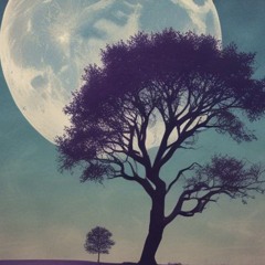 Hiç sevmedin ki.mp3