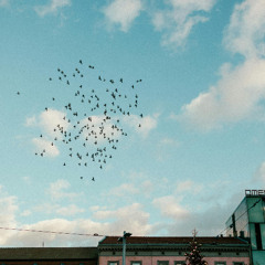 CALM OF THE WATALEM (ANALOG RECORDING)