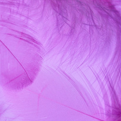 Something In The Water (feat. Mikamik)