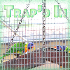 Trap'd In