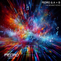 Pedro & A + B - The Bouncy Echo [ Custom ]
