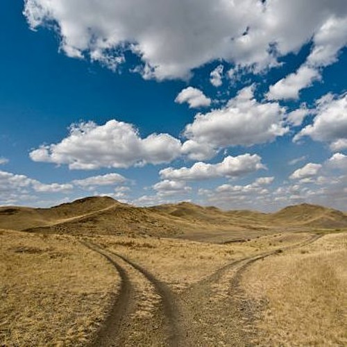 Mike Eye - Alternating Trails