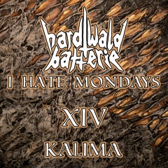 I Hate Mondays XIV | Kalima | Techno | 125-130 BPM