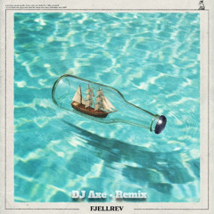 Fjellrev - Birra (DJ Axe Remix)