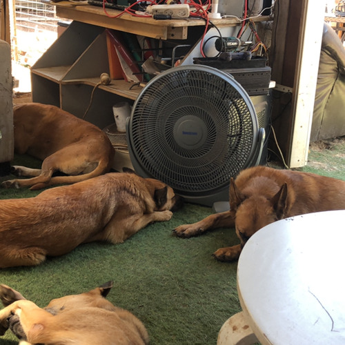 איך יוצאים מפה סקיצ