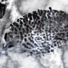 Kinaesthesia