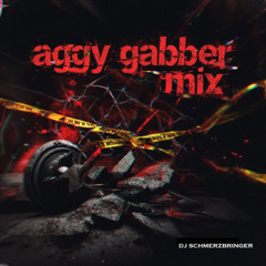 Dj Schmerzbringer - Aggy Gabber Mix On HardSoundRadio-HSR