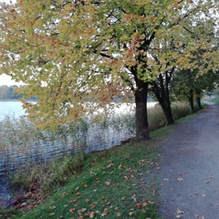 Walking in Autumn