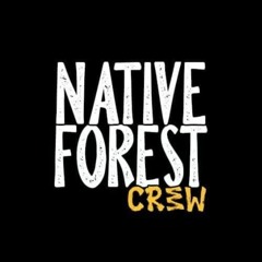 Surfing The Frequencies/ NativeForestCreew