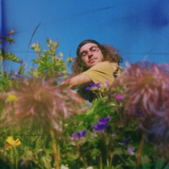 Bloom
