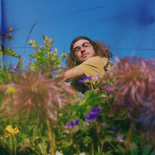 Bloom