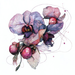 SSEDA - Formosa (original audio)