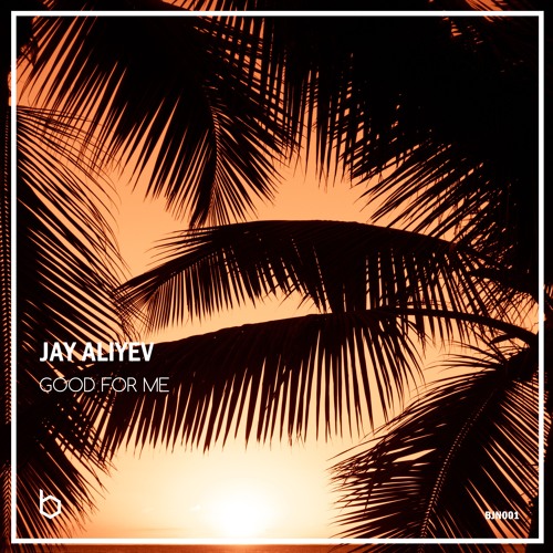 Jay Aliyev - Good For Me