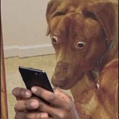 Nenem do Pai - Forro Boys ( Slowed   Reverb )(M4A_128K).m4a