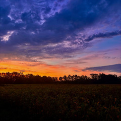Sunrise Field - A Christian McIntosh