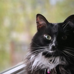 Sept 15 2023 wrkinprgrss