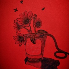 ZIADI - NIYAVASH ft FALCOV