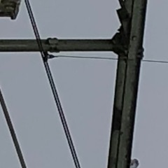 Still Waiting For You