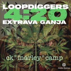 LD 420 eXtrava Ganja -  ck MARLEY camp