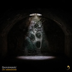Sharmonic - Life Underground | Preview (out now)
