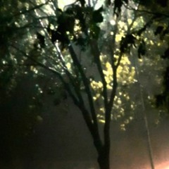 downpour