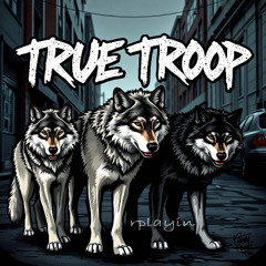 True Troop(HD)
