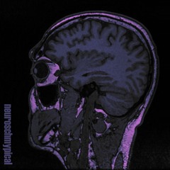 The Neuroschmypical Mixtape
