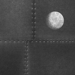 Moon Lover