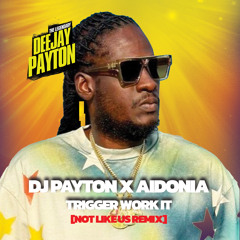 DJ PAYTON X AIDONIA - TRIGGER WORK IT [NOT LIKE US REMIX]