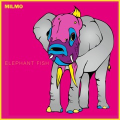 MILMO - Elephant Fish [No Copyright Lofi Hiphop Beats 2022]