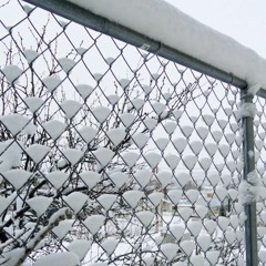 CHAIN LINK FENCE '88