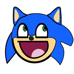 HEDGEHOG ON THE HILL