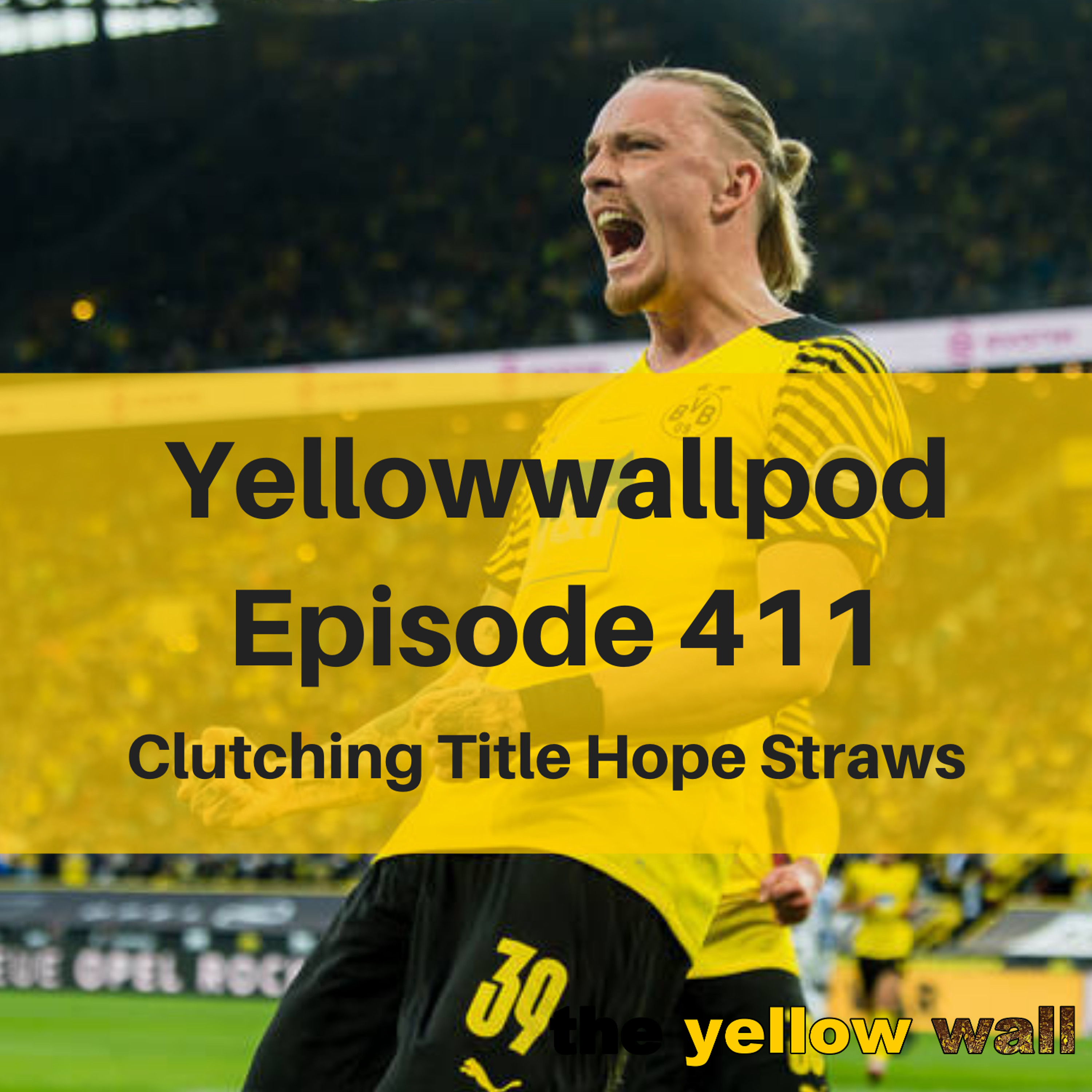 Yellowwallpod