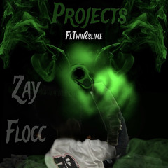 Projects (feat Twin2slime)