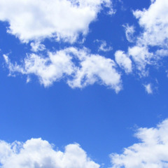 All the words you didnt say