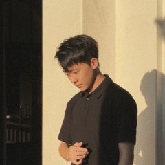 BIGBANG - LIES （越南鼓）DJ LEON .remix.mp3