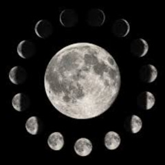 Nothing New Under the Sun