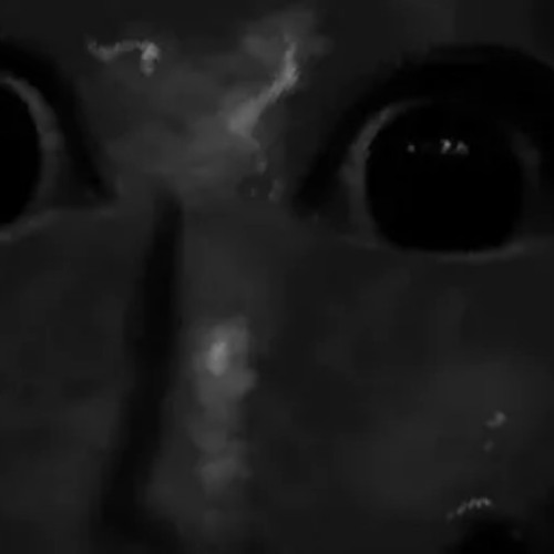 DEFILE - BLACK BLOOD