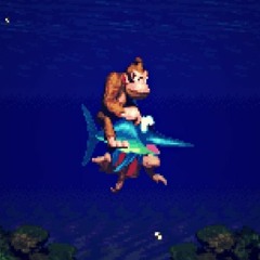 D K - throw some D's (Donkey Kong Country Aquatic Ambience)