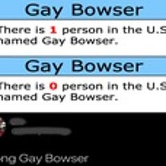 So Long Gay Bowser Type Beat